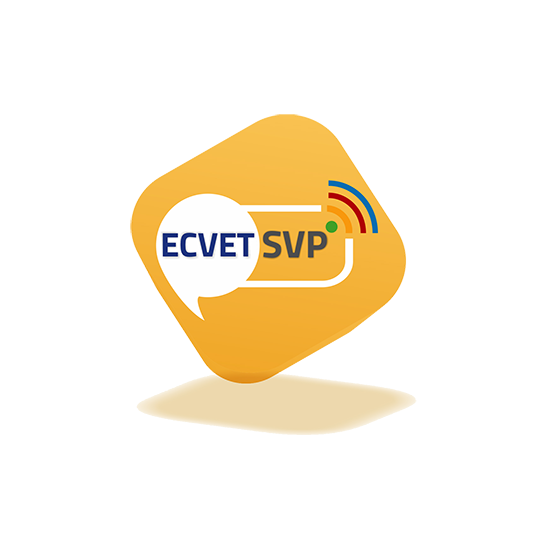 ECVET Skills Platforms